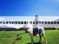 什么季節(jié)的草原最美？什么季節(jié)的草原最美麗