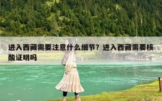 進(jìn)入西藏需要注意什么細(xì)節(jié)？進(jìn)入西藏需要核酸證明嗎