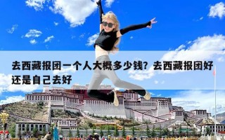 去西藏報(bào)團(tuán)一個(gè)人大概多少錢(qián)？去西藏報(bào)團(tuán)好還是自己去好