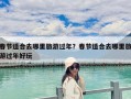 春節適合去哪里旅游過年？春節適合去哪里旅游過年好玩
