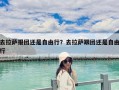 去拉薩報團還是自由行？去拉薩跟團還是自由行