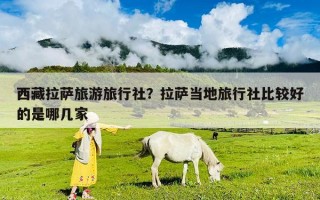 西藏拉薩旅游旅行社？拉薩當地旅行社比較好的是哪幾家
