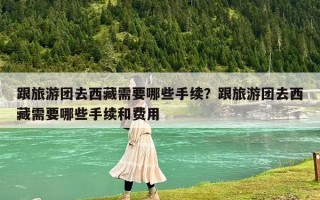 跟旅游團去西藏需要哪些手續？跟旅游團去西藏需要哪些手續和費用
