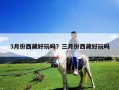 3月份西藏好玩嗎？三月份西藏好玩嗎