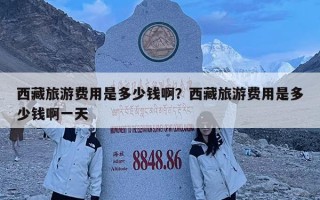 西藏旅游費(fèi)用是多少錢啊？西藏旅游費(fèi)用是多少錢啊一天