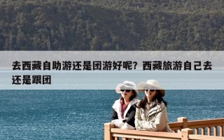 去西藏自助游還是團游好呢？西藏旅游自己去還是跟團