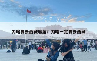 為啥要去西藏旅游？為啥一定要去西藏