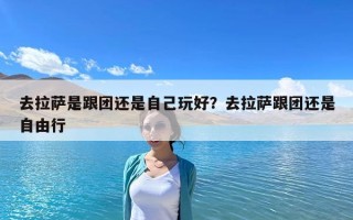 去拉薩是跟團還是自己玩好？去拉薩跟團還是自由行