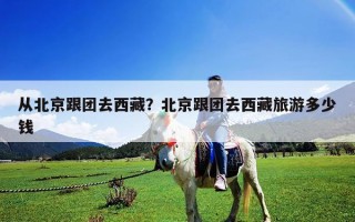 從北京跟團去西藏？北京跟團去西藏旅游多少錢