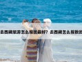 去西藏旅游怎么報團最好？去西藏怎么報散團