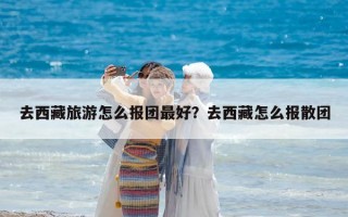 去西藏旅游怎么報團最好？去西藏怎么報散團