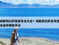 成都到拉薩旅游景點大全？成都到拉薩自駕游沿途有哪些景點