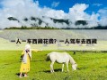 一人一車西藏花費？一人駕車去西藏