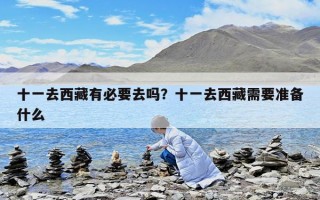 十一去西藏有必要去嗎？十一去西藏需要準備什么