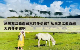 從黑龍江去西藏大約多少錢？從黑龍江去西藏大約多少錢啊