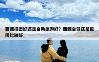 西藏報團好還是自助旅游好？西藏自駕還是報團比較好