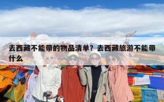 去西藏不能帶的物品清單？去西藏旅游不能帶什么