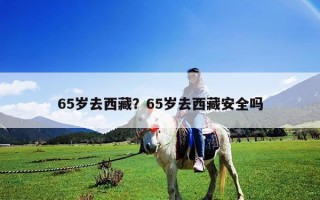 65歲去西藏？65歲去西藏安全嗎