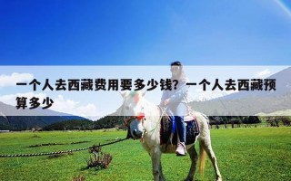 一個(gè)人去西藏費(fèi)用要多少錢？一個(gè)人去西藏預(yù)算多少
