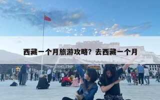 西藏一個月旅游攻略？去西藏一個月