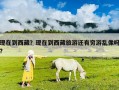現在到西藏？現在到西藏旅游還有窮游亂像嗎?