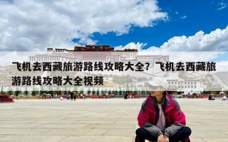 飛機去西藏旅游路線攻略大全？飛機去西藏旅游路線攻略大全視頻