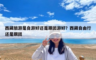 西藏旅游是自游好還是跟團游好？西藏自由行還是跟團