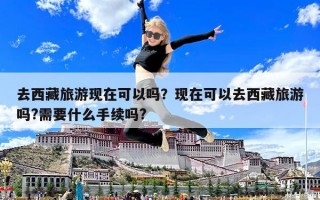 去西藏旅游現(xiàn)在可以嗎？現(xiàn)在可以去西藏旅游嗎?需要什么手續(xù)嗎?