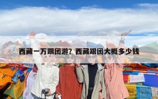 西藏一萬跟團游？西藏跟團大概多少錢