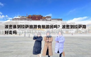 波密縣到拉薩旅游有旅游團嗎？波密到拉薩路好走嗎
