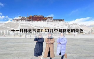 十一月林芝氣溫？11月中旬林芝的景色