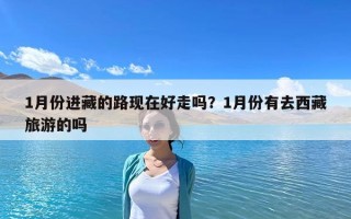 1月份進(jìn)藏的路現(xiàn)在好走嗎？1月份有去西藏旅游的嗎