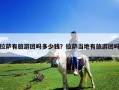 拉薩有旅游團嗎多少錢？拉薩當?shù)赜新糜螆F嗎