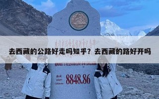 去西藏的公路好走嗎知乎？去西藏的路好開嗎