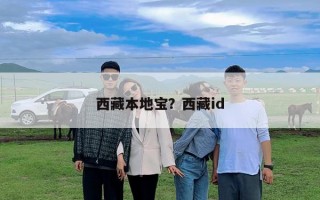 西藏本地寶？西藏id