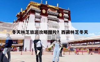 冬天林芝旅游攻略圖片？西藏林芝冬天