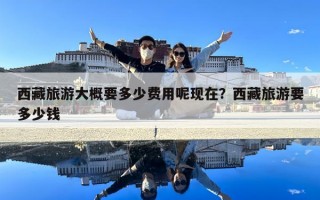 西藏旅游大概要多少費用呢現(xiàn)在？西藏旅游要多少錢