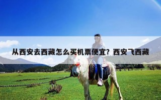 從西安去西藏怎么買機票便宜？西安飛西藏
