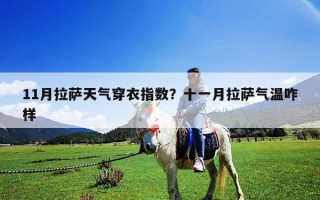 11月拉薩天氣穿衣指數(shù)？十一月拉薩氣溫咋樣