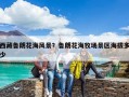 西藏魯朗花海風景？魯朗花海牧場景區海拔多少