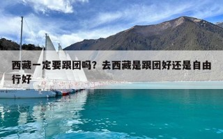 西藏一定要跟團嗎？去西藏是跟團好還是自由行好