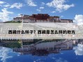西藏什么樣子？西藏是怎么樣的地方