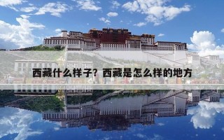 西藏什么樣子？西藏是怎么樣的地方