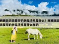 西藏旅游需要帶的物品清單是什么？西藏旅游需要帶的物品清單是什么樣的