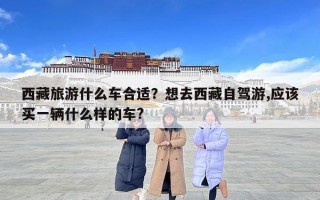 西藏旅游什么車合適？想去西藏自駕游,應該買一輛什么樣的車?