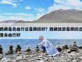 西藏是自由行還是跟團(tuán)好？西藏旅游是跟團(tuán)還是自由行好
