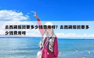 去西藏報團要多少錢費用呀？去西藏報團要多少錢費用呀