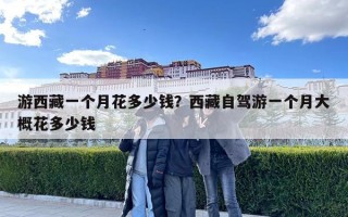游西藏一個月花多少錢？西藏自駕游一個月大概花多少錢