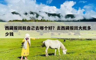 西藏報團和自己去哪個好？去西藏報團大概多少錢