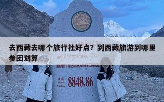 去西藏去哪個旅行社好點？到西藏旅游到哪里參團劃算